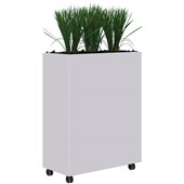 RAPID MOBILE PLANTER INCLUDING TALL PLANTS L900 X H1200MM WHITE