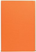 FILE FOLDER FOOLSCAP  ORANGE FM  EACH