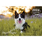 COLLINS ROSEBANK WALL CALENDAR W300 X L210MM DOGS AND PUPPIES EVEN YEAR