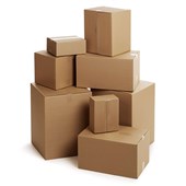 CARDBOARD CARTON SOUTH ISLAND NO A4S 305X215X200MM 25PK